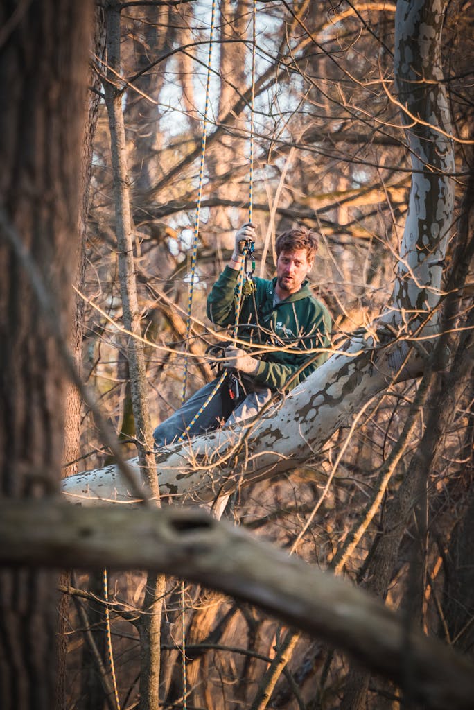 Man Hanging on Ropes in a Forest